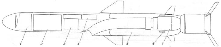 SSNG3128.jpg