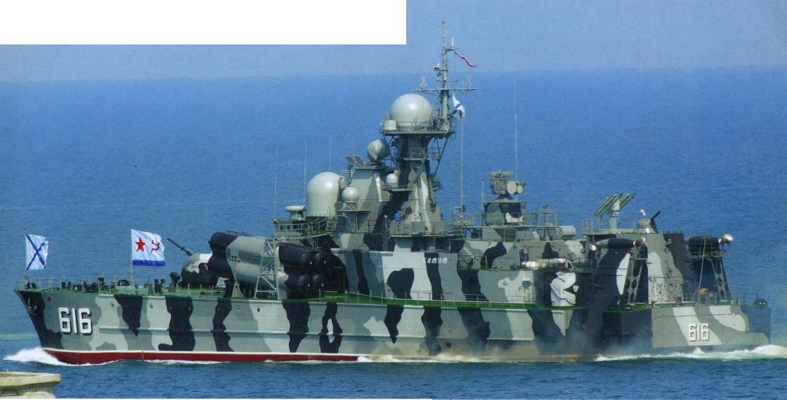 SSNG3171.jpg