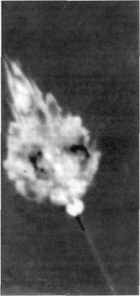 ZRPtr029.jpg