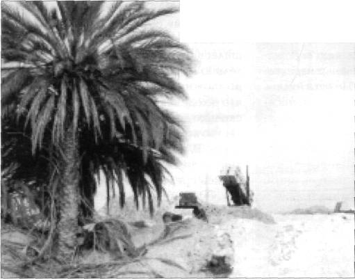 ZRPtr034.jpg