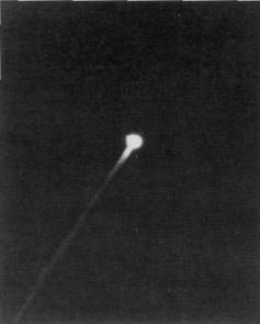 ZRPtr045.jpg