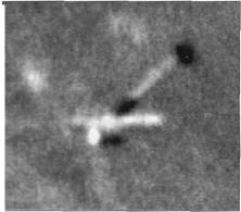 ZRPtr068.jpg