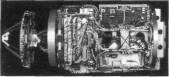 ZRPtr072.jpg