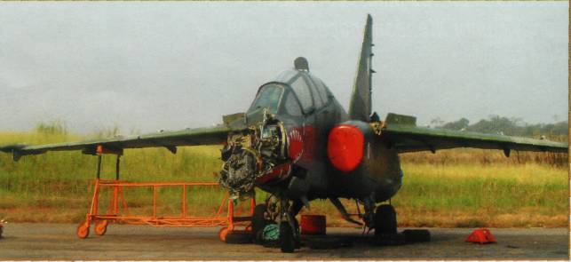 trBSK013.jpg