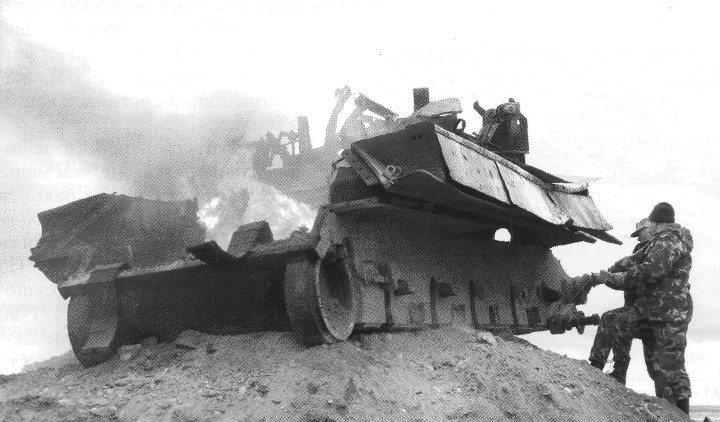 Ant84046.jpg