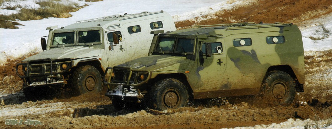 ArzBrone001.jpg