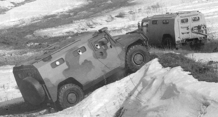 ArzTiger013.jpg