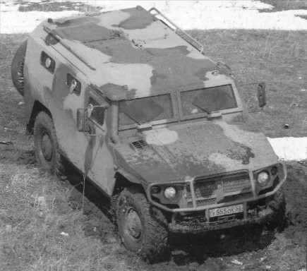 ArzTiger016.jpg