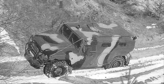 ArzTiger017.jpg