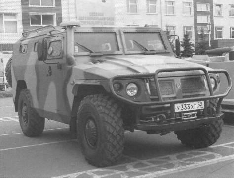 ArzTiger021.jpg