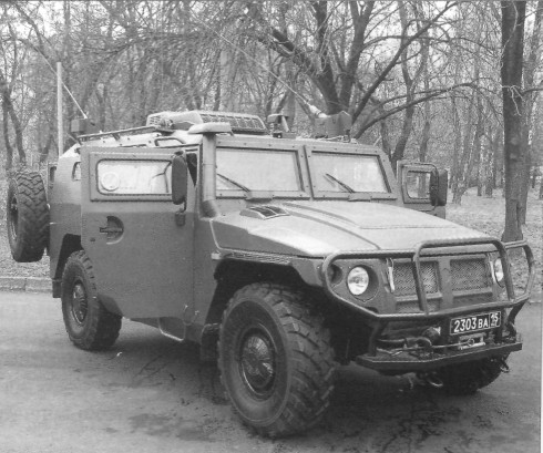 ArzTiger024.jpg
