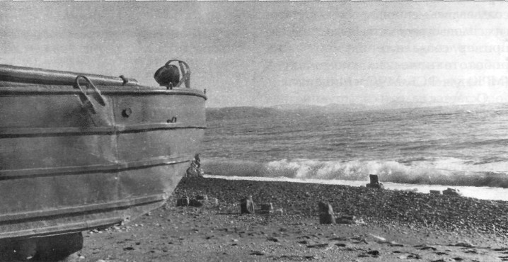 BAV015.jpg