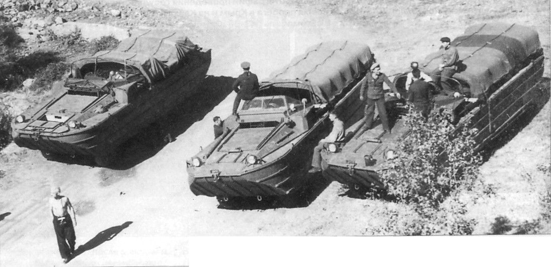 BAV025.jpg