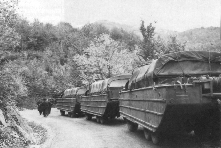 BAV026.jpg