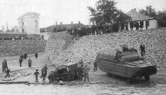 BAV031.jpg