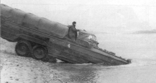 BAV053.jpg