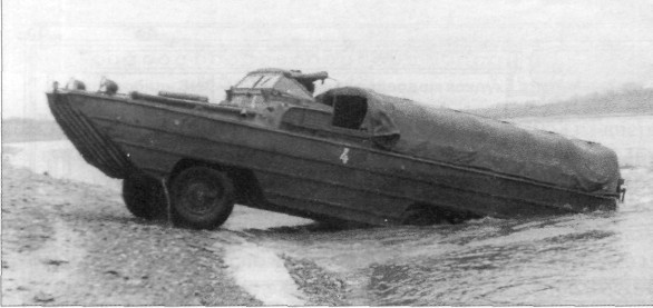 BAV055.jpg