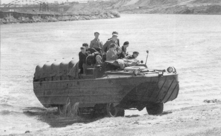 BAV057.jpg
