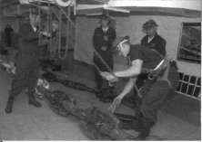 CVN65147.jpg
