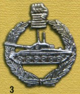 EmblExt1041.jpg