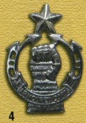 EmblExt1042.jpg
