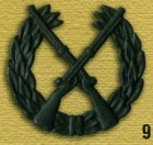 EmblExt1079.jpg