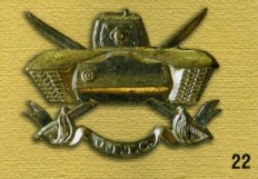 EmblExt1093.jpg
