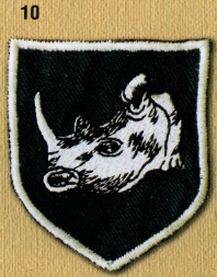 EmblExt1107.jpg