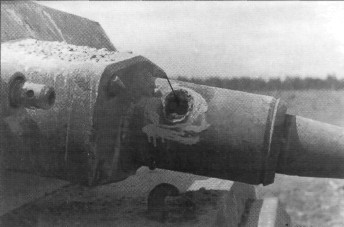 FlAPz071.jpg