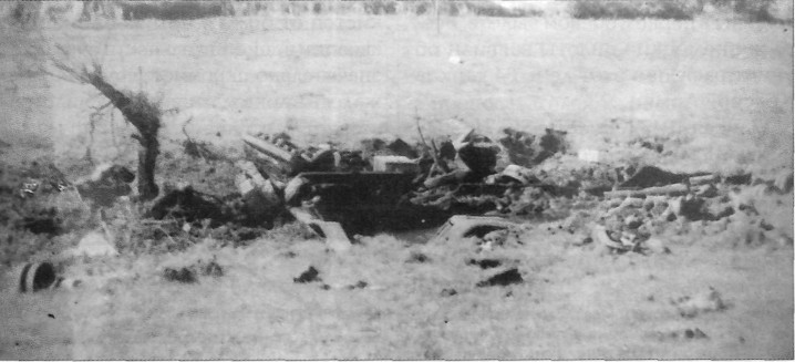 FlAPz154.jpg