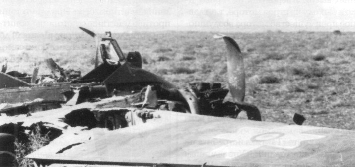FlAPz172.jpg