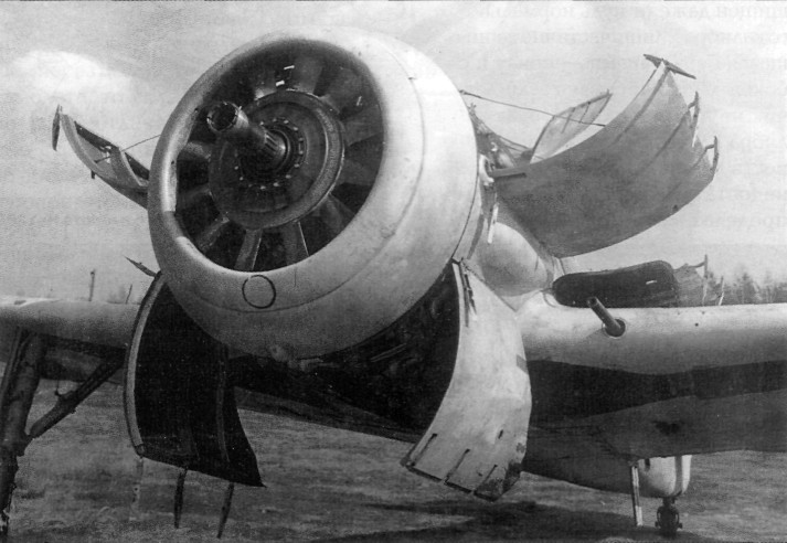 FlAPz175.jpg