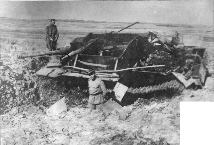 FlAPz186.jpg