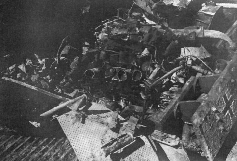 FlAPz187.jpg