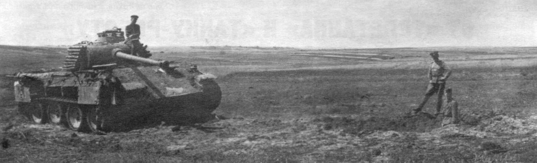 FlAPz189.jpg