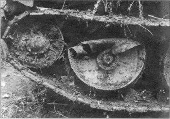 FlAPz191.jpg