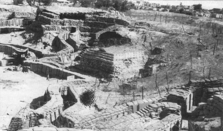 KrzMM064.jpg