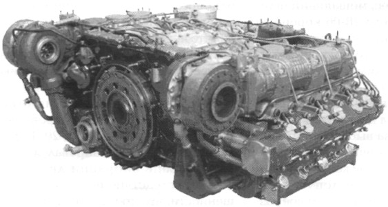 LT934042.jpg