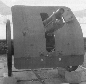 MuBrz006.jpg