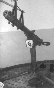 MuBrz007.jpg