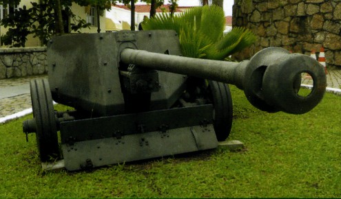 MuBrz013.jpg