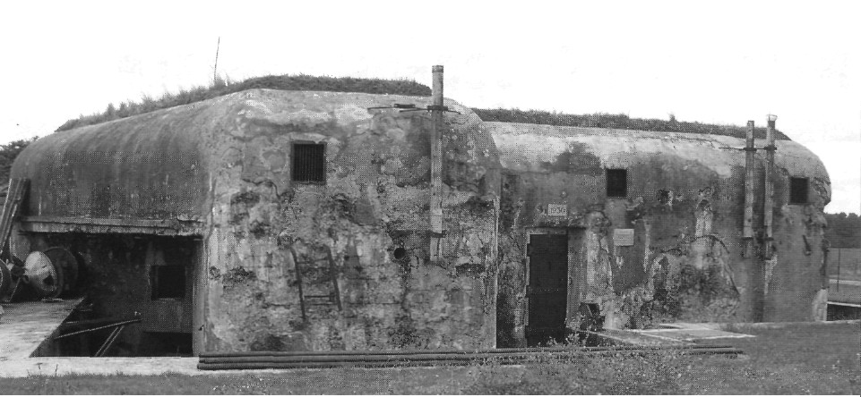 MuMag025.jpg