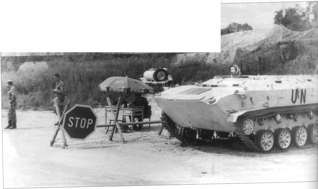 PzVDV231.jpg