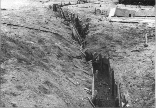 PzVDV341.jpg