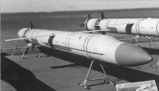 SSNG4143.jpg