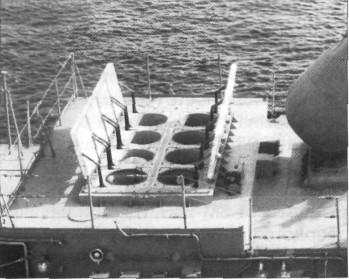 SSNG4146.jpg