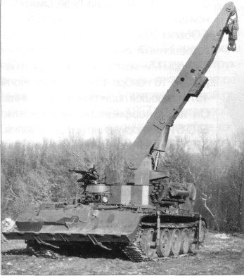 T54191.jpg