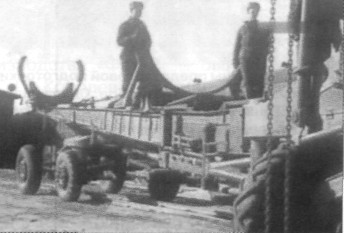 V1_R1031.jpg