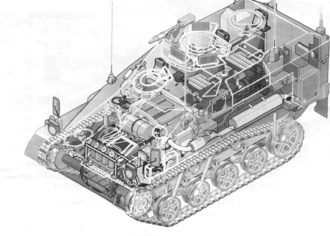 Wizel026.jpg