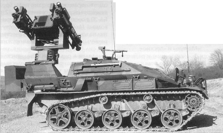 Wizel033.jpg